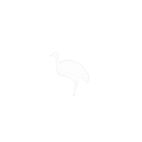 Nandu Music Logo